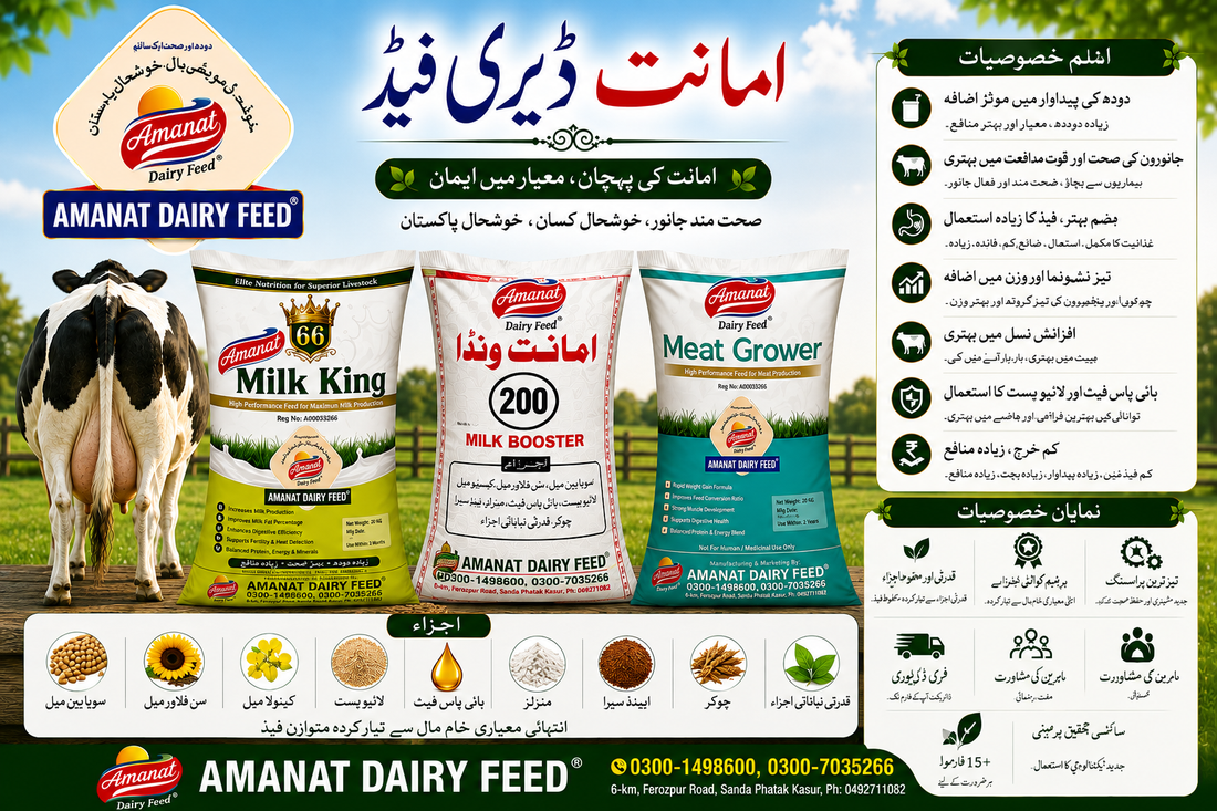 Amanat Wanda Milk Booster 200 | Best Dairy Feed for Higher Milk Production