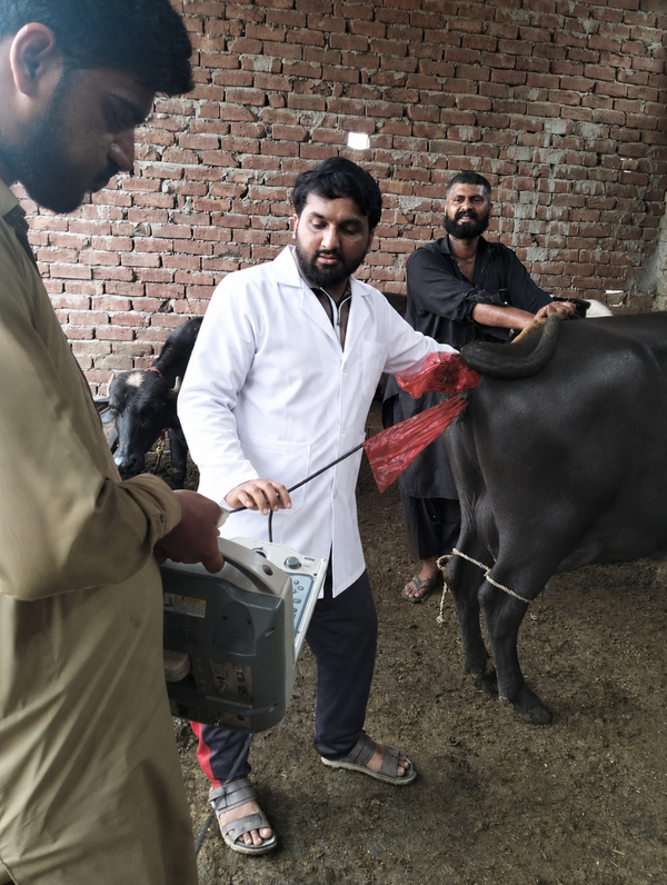 Dr. Tahir Shakoor Dogar