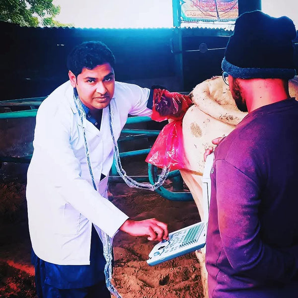 Dr. Kamran Siyal