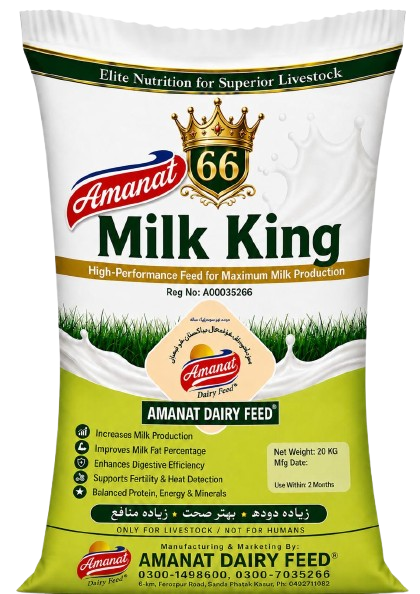 Amanat Milk King 66 | 20 KG